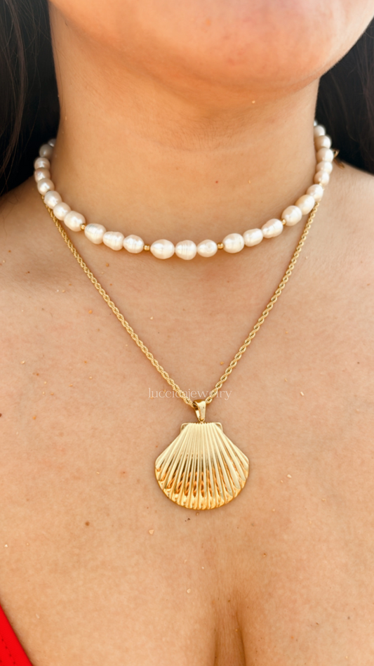 Shell Necklace